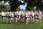 Senior women, 2024 Northern Cross Country Relays, Graves Park, Sheffield.   Photo: David T. Hewitson/Sports for All Pics